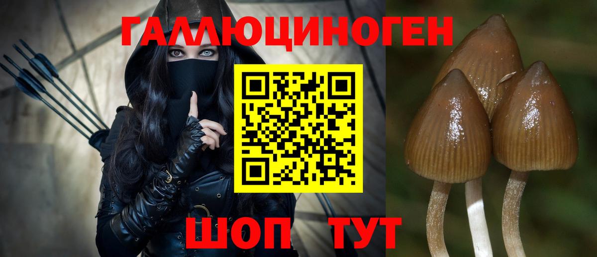 Псилоцибиновые грибы Magic Shrooms Тверь